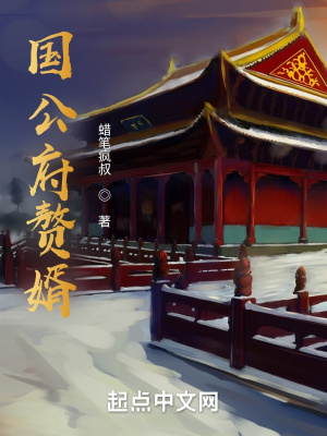 《国公府赘婿》