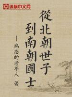 《从北朝世子到南朝国士》