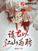 《请君以江山为聘》