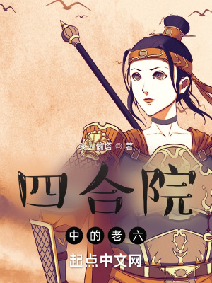 《四合院中的老六》