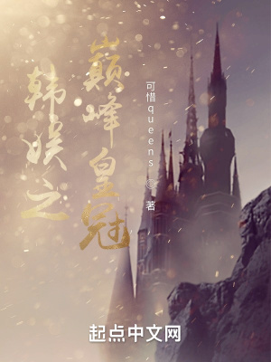 《韩娱之巅峰皇冠》