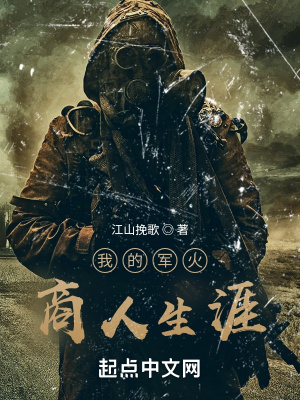 《我的军火商人生涯》