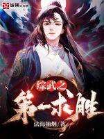 《综武之第一求胜》