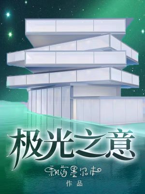 《极光之意》