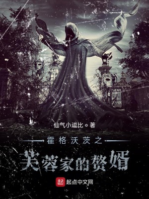 《霍格沃茨之芙蓉家的赘婿》
