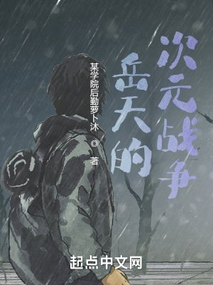 《岳天的次元战争》