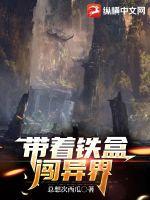 《带着铁盒闯异界》