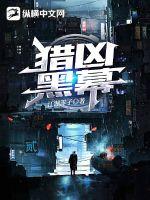 《猎凶黑幕》