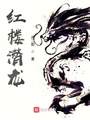 《红楼潜龙》