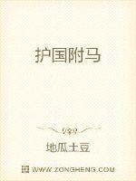 《卧龙惊凤》