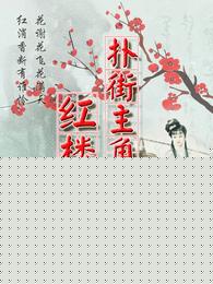 扑街主角红楼得道