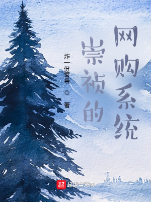 《崇祯的网购系统》
