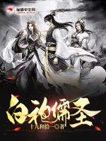 《白袍儒圣》