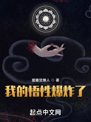 《我的悟性爆炸了》