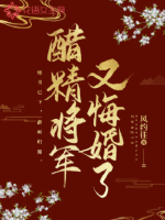 《醋精将军又悔婚了》