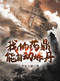我的药鼎能自动炼丹