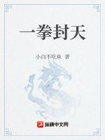 《一拳封天》