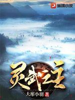 《灵武之主》