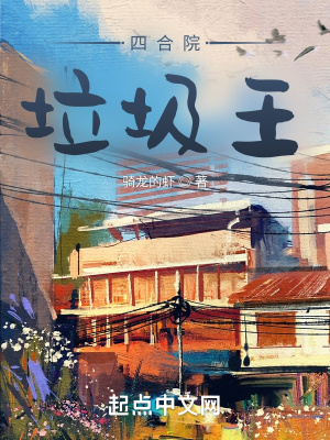 《四合院：垃圾王》