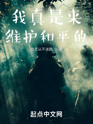 《我真是来维护和平的》