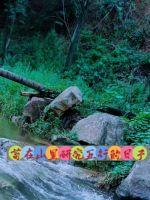 《苟在山里搞五行阴阳》