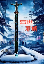《异世邪婿》