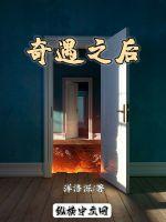 《奇遇之后》