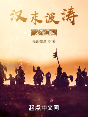 《汉末波涛之逐鹿》