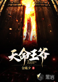《天命王爷》