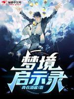 《梦境启示录》