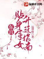 《东宫贴身侍女升迁指南》