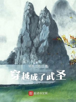 《穿越成了武圣》