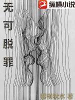 《无可脱罪》
