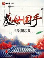 《盛世国手》