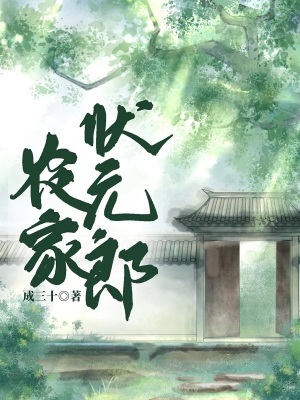 《农家状元郎》