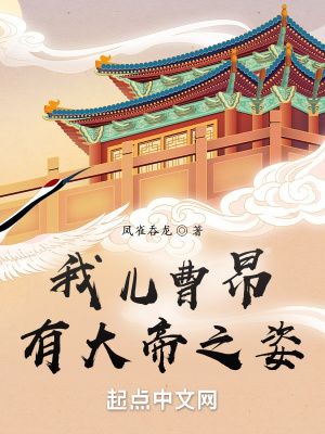《我儿曹昂有大帝之姿》