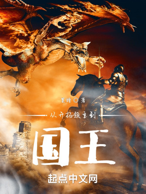 《从开拓领主到国王》