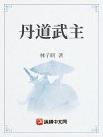 《丹道武主》