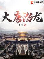《大唐潜龙》