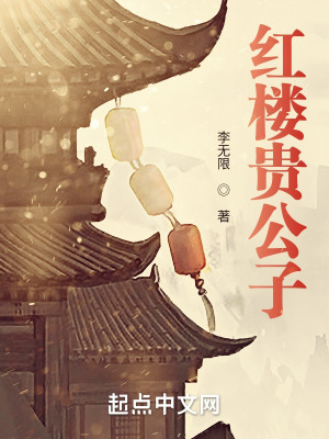 《红楼贵公子》