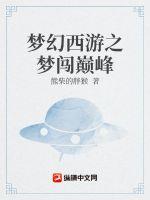 《梦幻西游之梦闯巅峰》