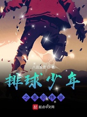 《排球少年之黑羽传说》