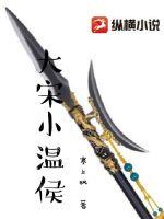《大宋小温侯》