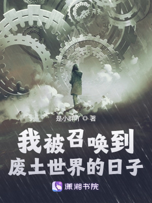 《我被召唤到废土世界的日子》