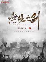 《无境之剑》