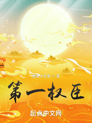 《第一权臣》
