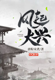 《风起大兴》