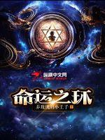 《命运之环》