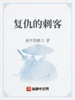 《复仇的刺客》