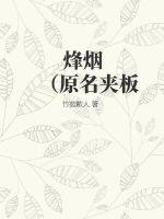 《烽烟（原名夹板岭轶事）》